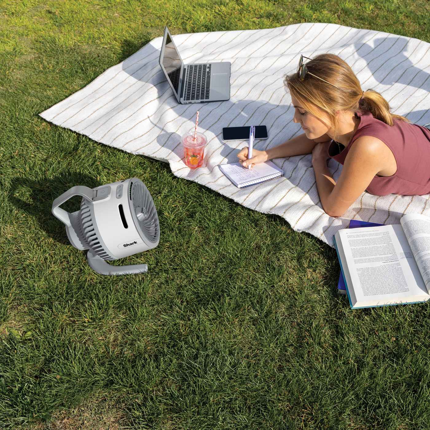 Cooling mist on a picnic